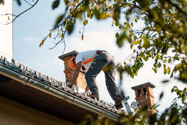 Quick and Trustworthy Emergency Roof Repair Services in Medford, WI